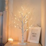 Picture of 2FT White Twig Tree with LED Lights – Tabletop Birch Tree with 24 Warm White LEDs – Battery-Operated for Home, Party, Wedding, Easter & Christmas Decor